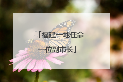 福建一地任命一位副市长