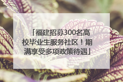 福建招募300名高校毕业生服务社区！期满享受多项政策待遇