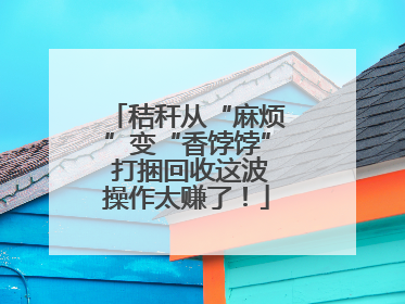 秸秆从“麻烦”变“香饽饽” 打捆回收这波操作太赚了！