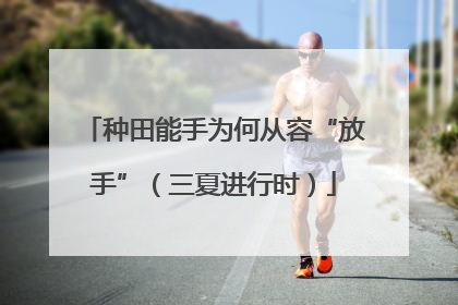 种田能手为何从容“放手”（三夏进行时）