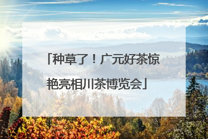 种草了！广元好茶惊艳亮相川茶博览会