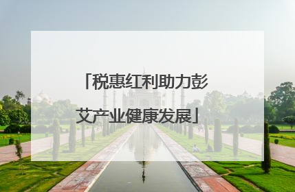 税惠红利助力彭艾产业健康发展