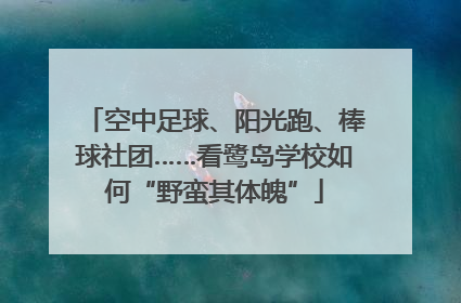 空中足球、阳光跑、棒球社团……看鹭岛学校如何“野蛮其体魄”
