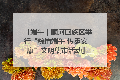 端午｜顺河回族区举行“粽情端午 传承安康”文明集市活动