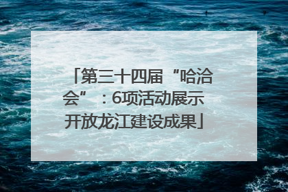 第三十四届“哈洽会”：6项活动展示开放龙江建设成果
