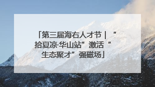 第三届海右人才节｜“拾夏凉·华山站”激活“生态聚才”强磁场