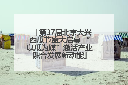 第37届北京大兴西瓜节盛大启幕 “以瓜为媒”激活产业融合发展新动能