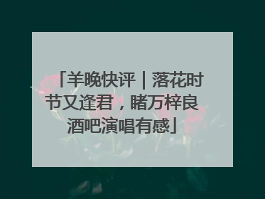 羊晚快评｜落花时节又逢君，睹万梓良酒吧演唱有感