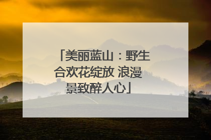 美丽蓝山：野生合欢花绽放 浪漫景致醉人心