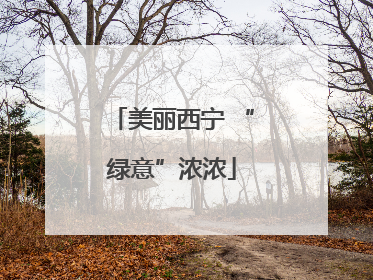 美丽西宁 “绿意”浓浓