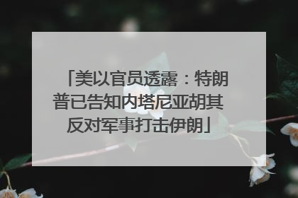 美以官员透露：特朗普已告知内塔尼亚胡其反对军事打击伊朗