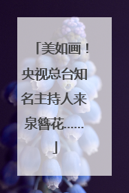 美如画！央视总台知名主持人来泉簪花……