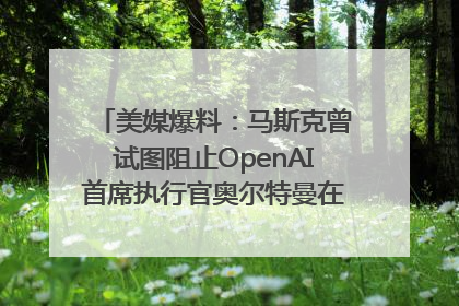 美媒爆料：马斯克曾试图阻止OpenAI首席执行官奥尔特曼在中东的AI交易