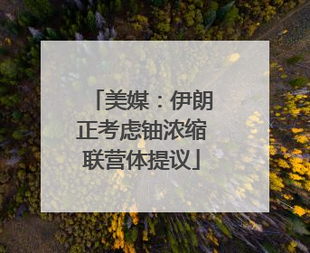 美媒：伊朗正考虑铀浓缩联营体提议