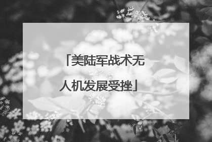 美陆军战术无人机发展受挫
