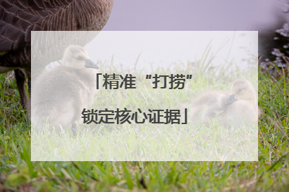 精准“打捞”锁定核心证据