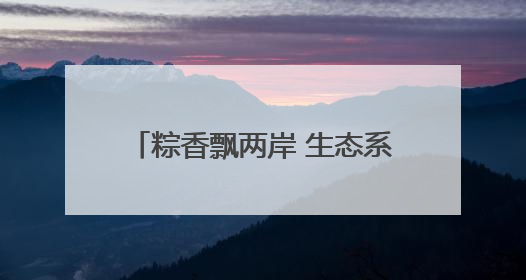 粽香飘两岸 生态系乡情 奉台两地端午活动深化生态文化交流