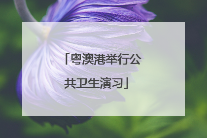 粤澳港举行公共卫生演习