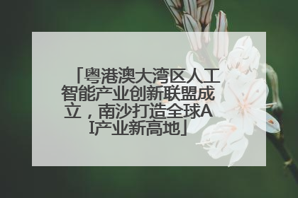 粤港澳大湾区人工智能产业创新联盟成立，南沙打造全球AI产业新高地