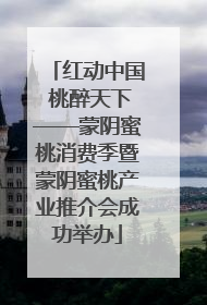 红动中国 桃醉天下——蒙阴蜜桃消费季暨蒙阴蜜桃产业推介会成功举办