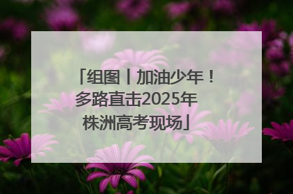 组图丨加油少年！多路直击2025年株洲高考现场
