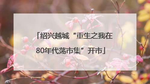 绍兴越城“重生之我在80年代荡市集”开市
