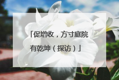 促增收，方寸庭院有乾坤（探访）