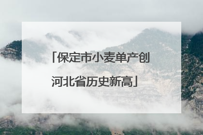 保定市小麦单产创河北省历史新高