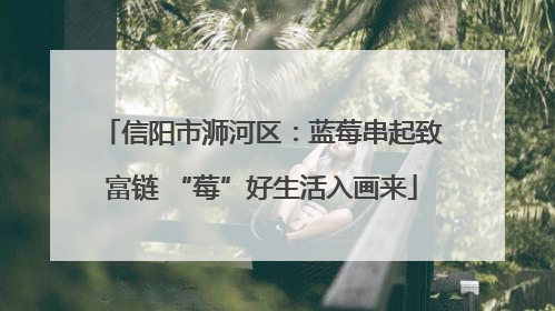 信阳市浉河区：蓝莓串起致富链 “莓”好生活入画来