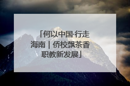 何以中国·行走海南｜侨校飘茶香 职教新发展