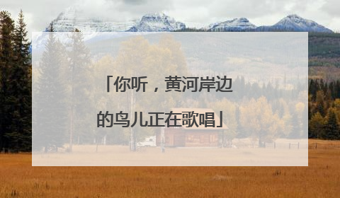 你听，黄河岸边的鸟儿正在歌唱
