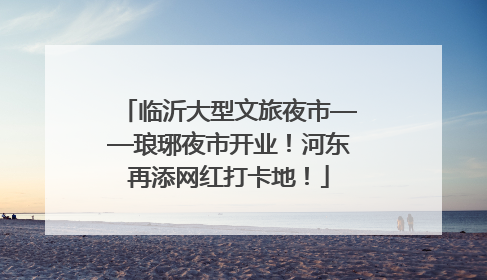 临沂大型文旅夜市——琅琊夜市开业！河东再添网红打卡地！