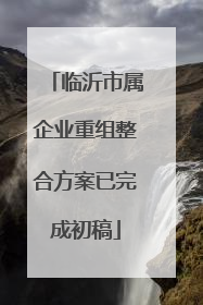 临沂市属企业重组整合方案已完成初稿