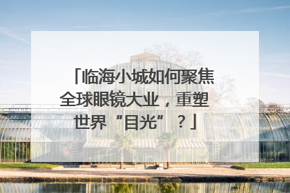 临海小城如何聚焦全球眼镜大业，重塑世界“目光”？