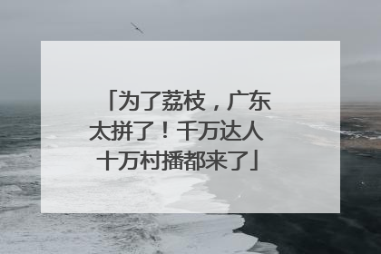 为了荔枝，广东太拼了！千万达人十万村播都来了