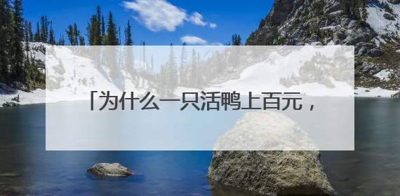 为什么一只活鸭上百元，一只烤鸭只要25元？