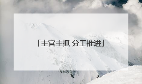 主官主抓 分工推进