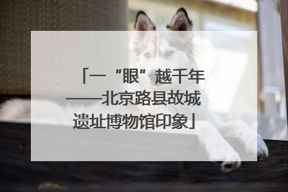 一“眼”越千年——北京路县故城遗址博物馆印象