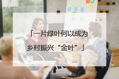 一片绿叶何以成为乡村振兴“金叶”