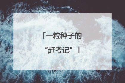 一粒种子的“赶考记”