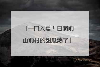 一口入夏！日照前山前村的甜瓜熟了
