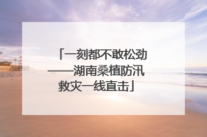 一刻都不敢松劲——湖南桑植防汛救灾一线直击
