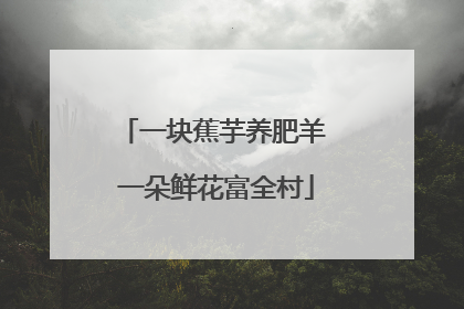 一块蕉芋养肥羊 一朵鲜花富全村