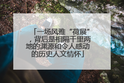 一场风雅“荷展”，背后是相隔千里两地的渊源和令人感动的历史人文情怀