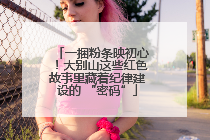 一捆粉条映初心！大别山这些红色故事里藏着纪律建设的 “密码”