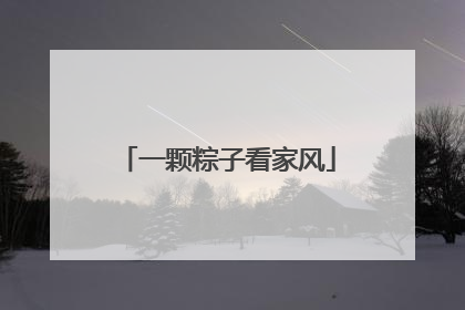 一颗粽子看家风