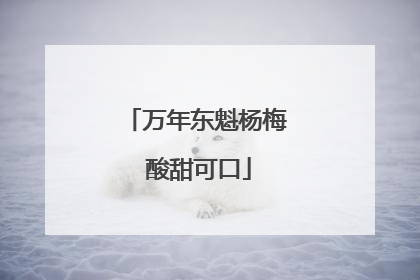 万年东魁杨梅 酸甜可口