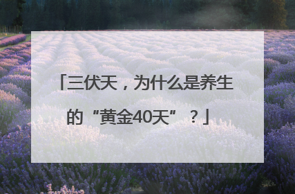 三伏天，为什么是养生的“黄金40天”？