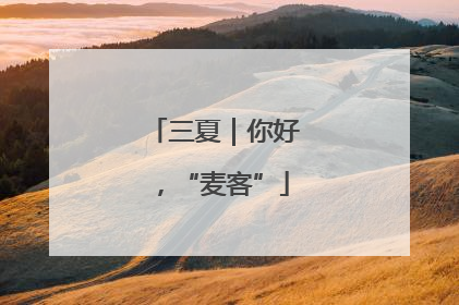 三夏｜你好，“麦客”