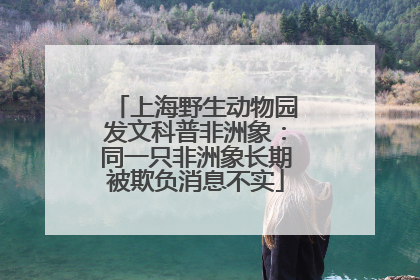 上海野生动物园发文科普非洲象：同一只非洲象长期被欺负消息不实